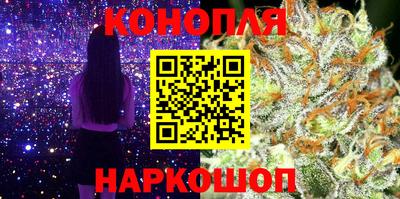 прущие грибы Лесосибирск
