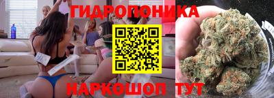 прущие грибы Лесосибирск