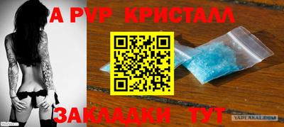 прущие грибы Лесосибирск