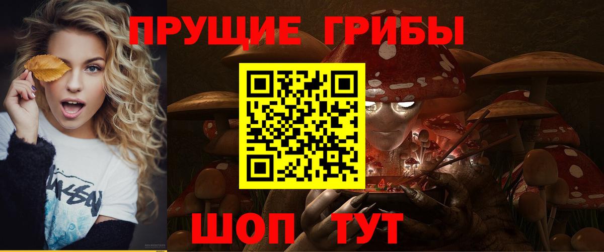 Кашира  Галлюциногенные грибы Cubensis  Вход с VPN 